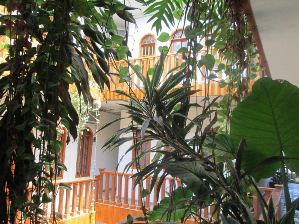 Hotel Guzman Xilitla Exterior photo